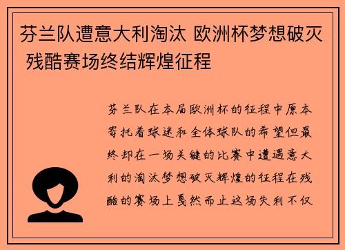 芬兰队遭意大利淘汰 欧洲杯梦想破灭 残酷赛场终结辉煌征程